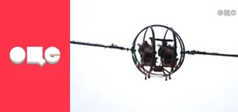 Особливості національної роботи, 4 сезон, 49 еп.