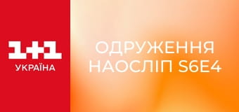 Одруження наосліп S6E4