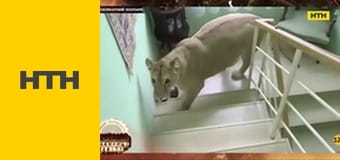 "Таємниці світу".