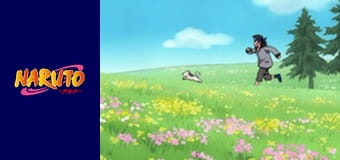 Naruto Season 1 Episode 67