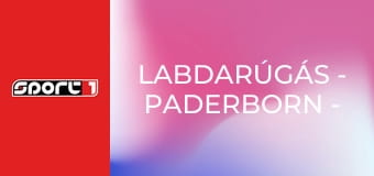 Labdarúgás - Paderborn - Leverkusen Labdarúgás - Paderborn - Leverkusen