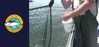 New Huck Finn, part 1 New Huck Finn, part 1