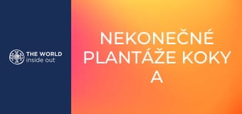 Nekonečné plantáže koky a opekané morské prasiatko na špíze. Bolívia. Nekonečné plantáže koky a opekané morské prasiatko na špíze. Bolívia.