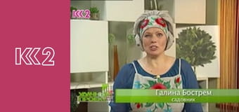 Готуємо разом S6E10 - Пісне меню