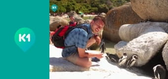 "Орел і Решка. Дайджест".