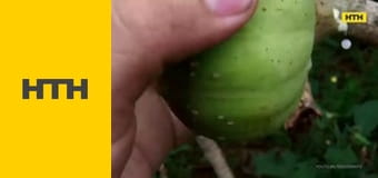 Т/с "ФБР", 5 сезон, 10 і 11 с.