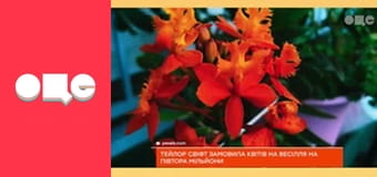 Аферисты в сетях, 2 сезон.