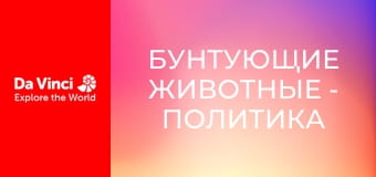 Бунтующие животные - Политика в мире муравьёв