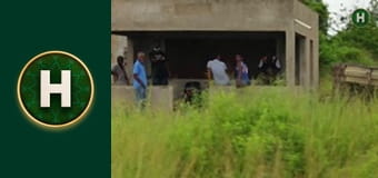 Орел і Решка. Земляни