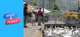 Навколо М сезон 1 - випуск 8