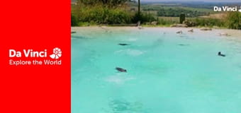 А ты знаешь? - Медди, зоопарк и вы - Как мы двигаемся? А ты знаешь? - Медди, зоопарк и вы - Как мы двигаемся?