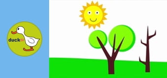 Forms Are Yours - Adventures II. - The Forest