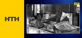 "Випадковий свідок".