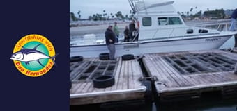 Stardust, part 1 Stardust, part 1