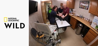 Невероятный доктор Пол S23E5