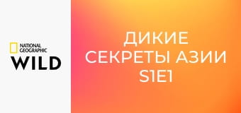 Дикие секреты Азии S1E1 - Юные и дикие