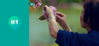 "Так не бывает".