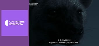 Д/с "Спецпризначенці тваринного світу". "Патруль".