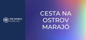 Cesta na ostrov Marajó a lov mangrovových krabov. Brazília. Cesta na ostrov Marajó a lov mangrovových krabov. Brazília.