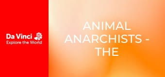 Animal Anarchists - The Inhabitants of Cheese