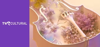 Concert de prânz Concert de prânz