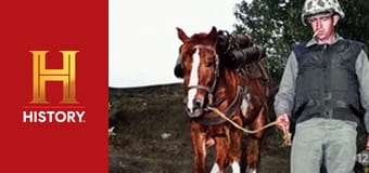 Необъяснимое с Уильямом Шетнером, 16 эп. Удивительные способности животных.