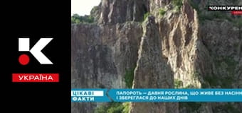 Интересные факты.