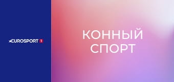 Конный спорт. Longines Global Champions Tour. Финальный этап в Праге, Чехия. Сессия 2.