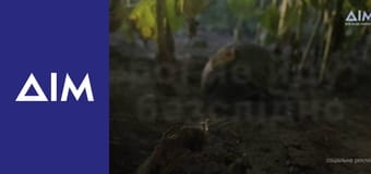 Популярна історія Популярна історія