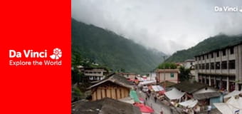 Animal Anarchists - The Elephant Yam Trap