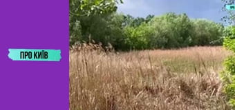 Околиці Дарницького вокзалу.