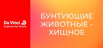 Бунтующие животные - Хищное растение и очень сладкая ловушка