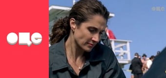 Т/с "CSI: Місце злочину - Нью-Йорк", 4 сезон, 17 с.