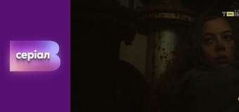 Т/с "Філін", 2 сезон, 11 с.