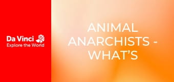 Animal Anarchists - What’s Living in This Cave?