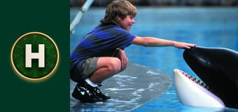 Звільнити Віллі