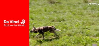 А ты знаешь? - Медди, зоопарк и вы - Как мы общаемся? А ты знаешь? - Медди, зоопарк и вы - Как мы общаемся?