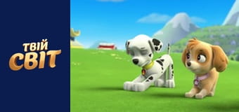 Щенячий патруль Сезон 1 Епізод 16