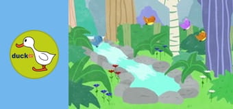 Sounds Around Us - Walk In The Forest