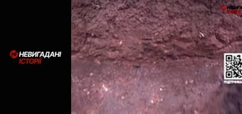 Невигадані історії. Бахмут.