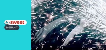 Хранитель часу