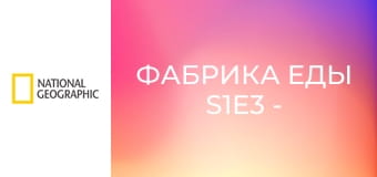 Фабрика еды S1E3 - Мятные лакомства