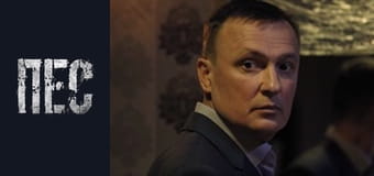 Пёс, Сезон 3, Серия 11