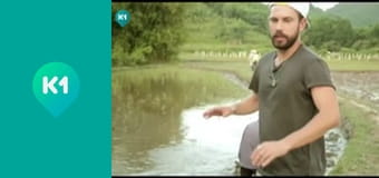 "Так не бывает".