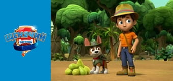 Щенячий патруль. Сезон 5 - серия 10