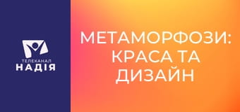 Метаморфози: краса та дизайн метеликів