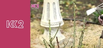 Удачний проект S1E29