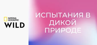 Испытания в дикой природе S1E6 - Муравьиная армия