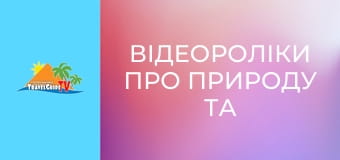 Відеороліки про природу та тварин. Відеороліки про природу та тварин.