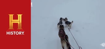 Звезды ломбарда, 25 сезон, 15 эп. Три кольца.